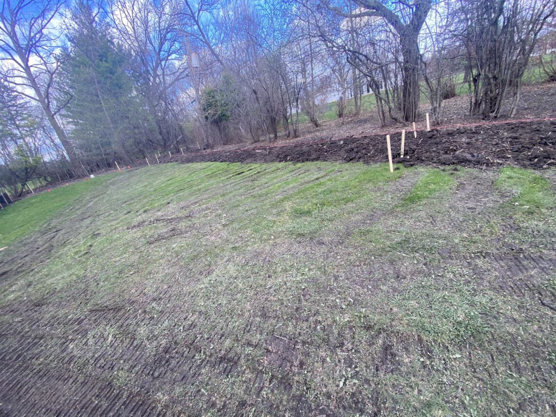 Village of Northfield Landscaping Project