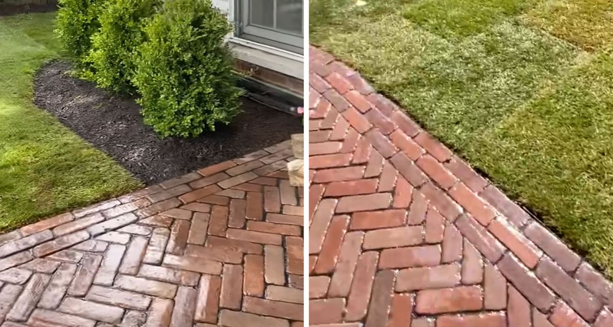 Village of Wilmette complete landscape renovation with Unilock Copthorne patio, sod, and boxwoods.